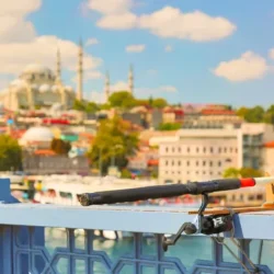 turkey